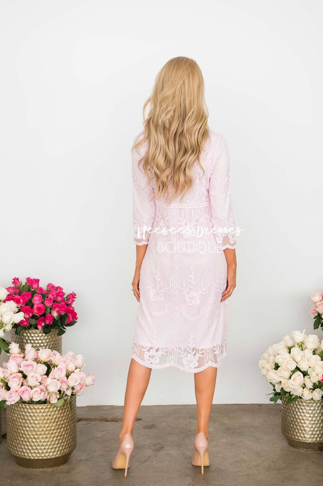 Day Dreamer Lace Dress in Pastel Pink