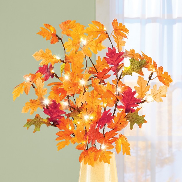 Collections Etc Led Lighted Autumn Maple Leaf Branches Tabletop Tree