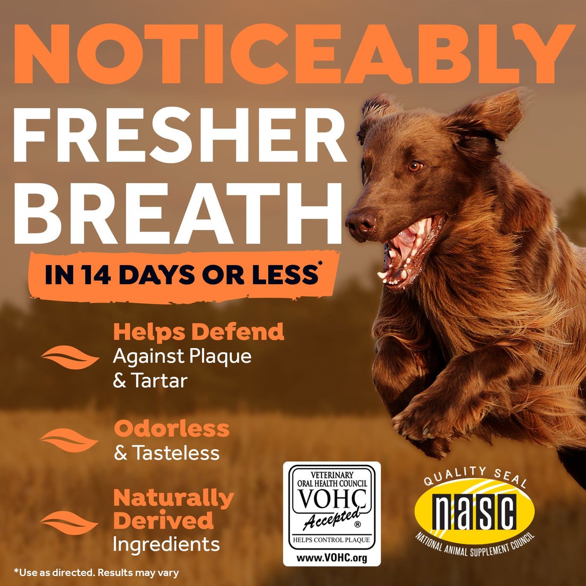 TropiClean Fresh Breath Dental Health Solution + Skin Health Support Dog Dental Water Additive