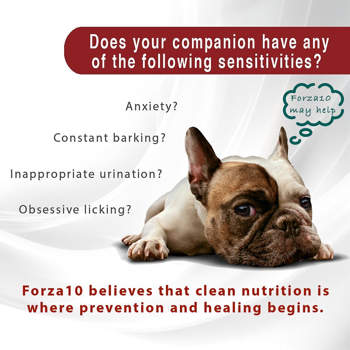 Forza10 Nutraceutic Behavioral Diet Dry Dog Food