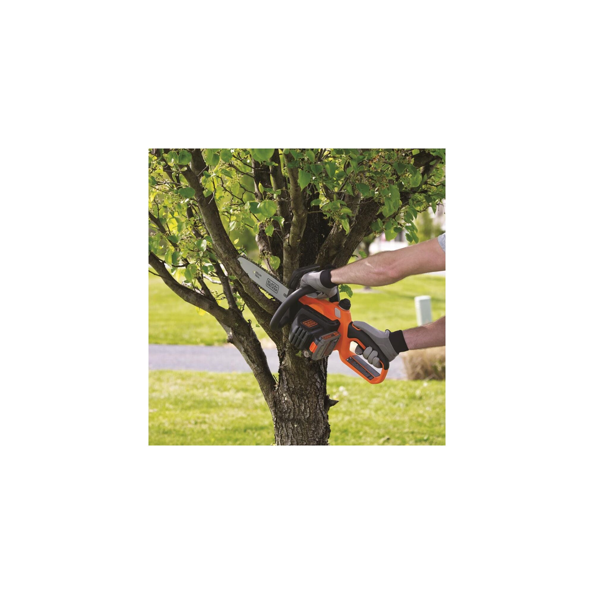 20V MAX* Cordless Chainsaw, 10-Inch (Tool Only)