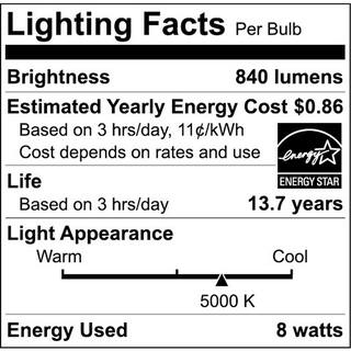 EcoSmart 60-Watt Equivalent A19 Dimmable ENERGY STAR Frosted Filament LED Light Bulb Daylight (16-Pack) A8A19A60WESD03