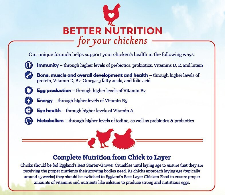 Eggland's Best 19% Protein Organic Starter-Grower Crumbles Chick Feed