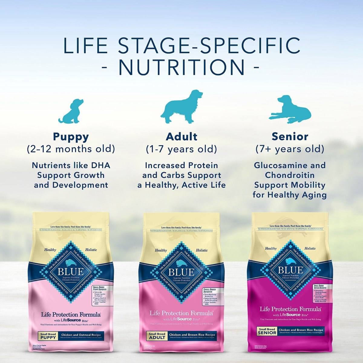 Blue Buffalo Life Protection Formula Toy Breed Adult Chicken and Brown Rice Recipe Dry Dog Food