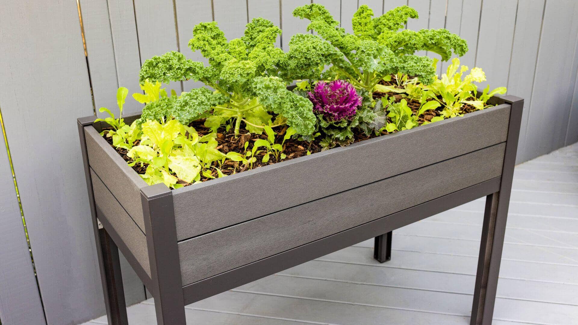 The Elevated Escape (24” x 48” x 34.5”) Elevated Garden Bed