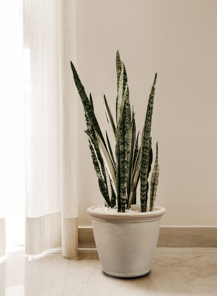 Serene Spaces Living Vintage White Stone Textured PE Planter Pot   Traditional   Outdoor Pots And Planters   by Serene Spaces Living  Houzz