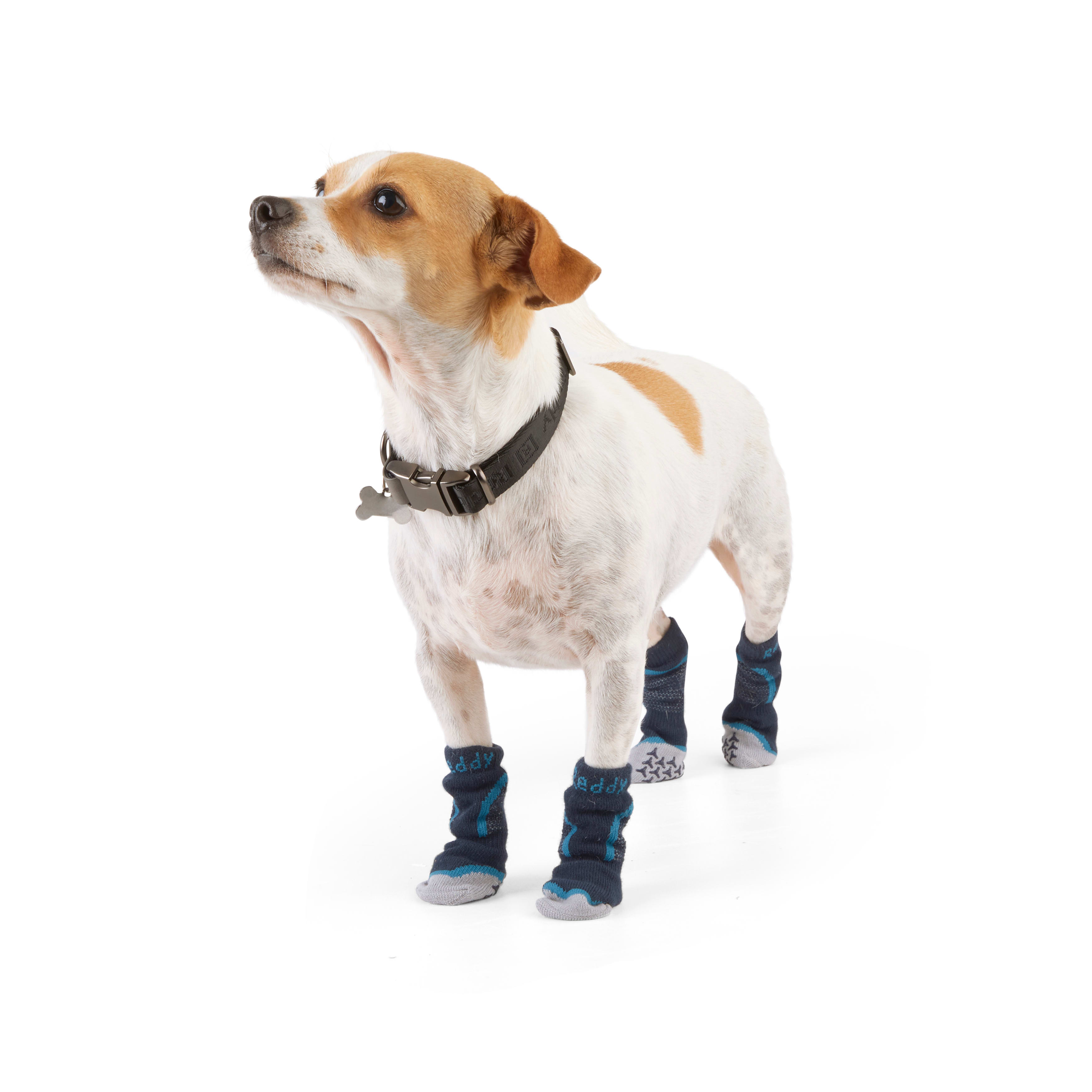 Reddy Navy Seamless Boot Sock for Dogs， X-Small/Small