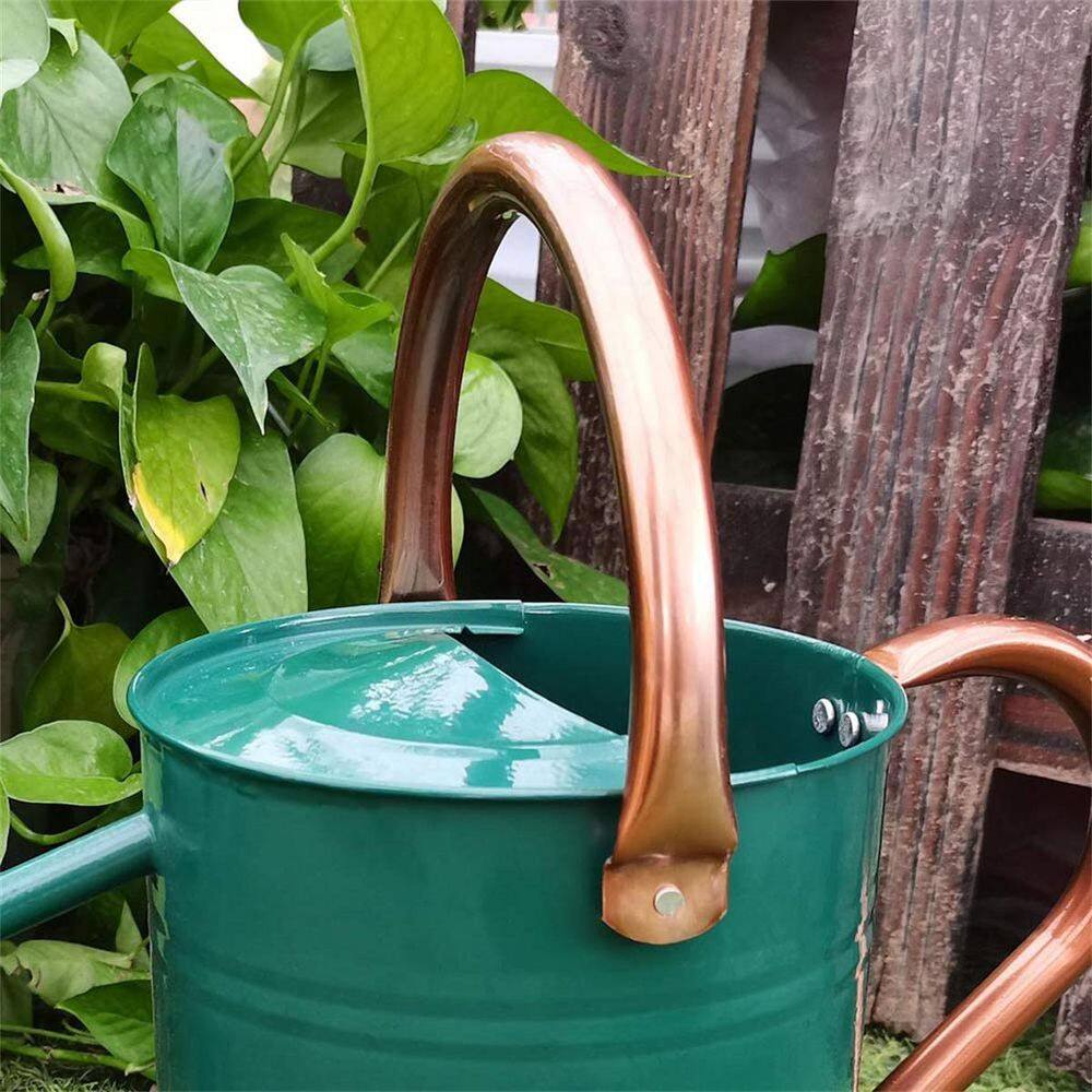 Dyiom 1 gal. Outdoor Steel Watering Can Sliver Galvanized Steel Green Watering Can with Copper Accents B07VX1RZZL