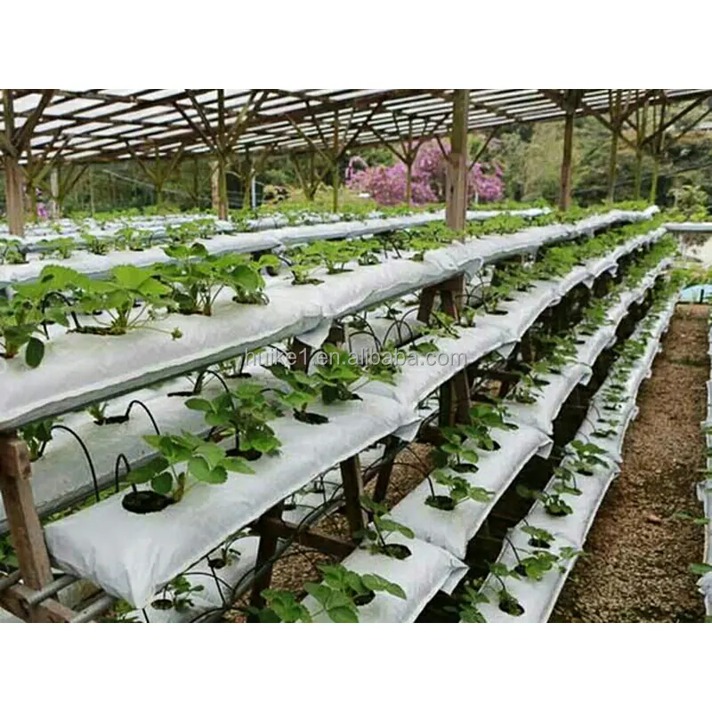 Factory direct sales Economic and durable UV resistant special coco peat strawberry planting grow bags