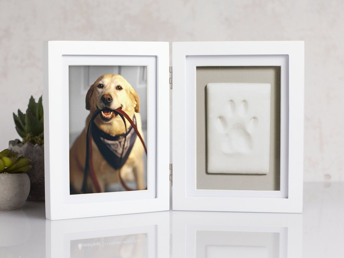 Pearhead Pawprints Desk Frame， 4 x 6-in