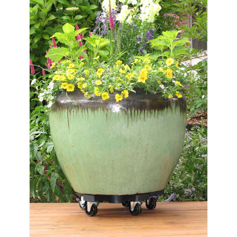 The Plant Stand 14 in. Black Plastic Down Under Plant Caddie 14410