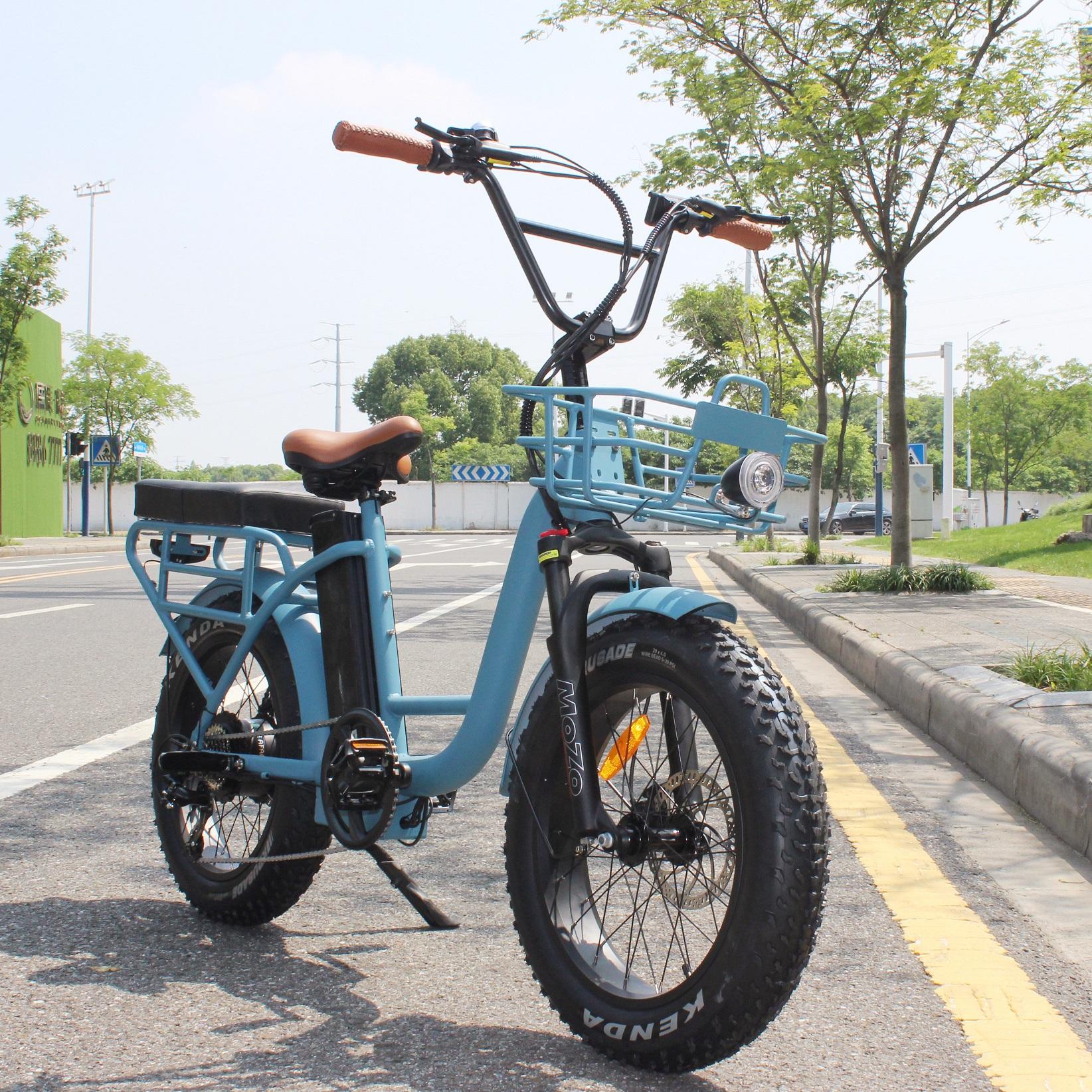 High Quality 350W Ebike 48V Cargo E Bike 20 Inch Aluminum oy Frame Electric Bike With Carrier