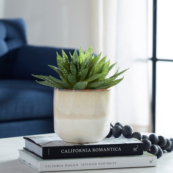 Uttermost Doha Succulent Accent