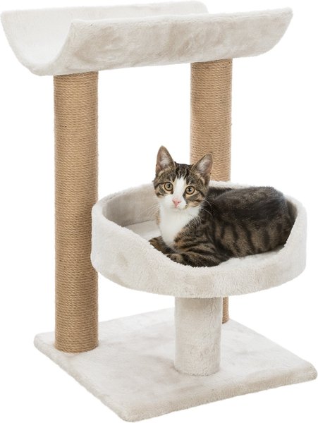 TRIXIE Isaba 24.5-in Plush Carpet Cat Scratching Post， Light Gray