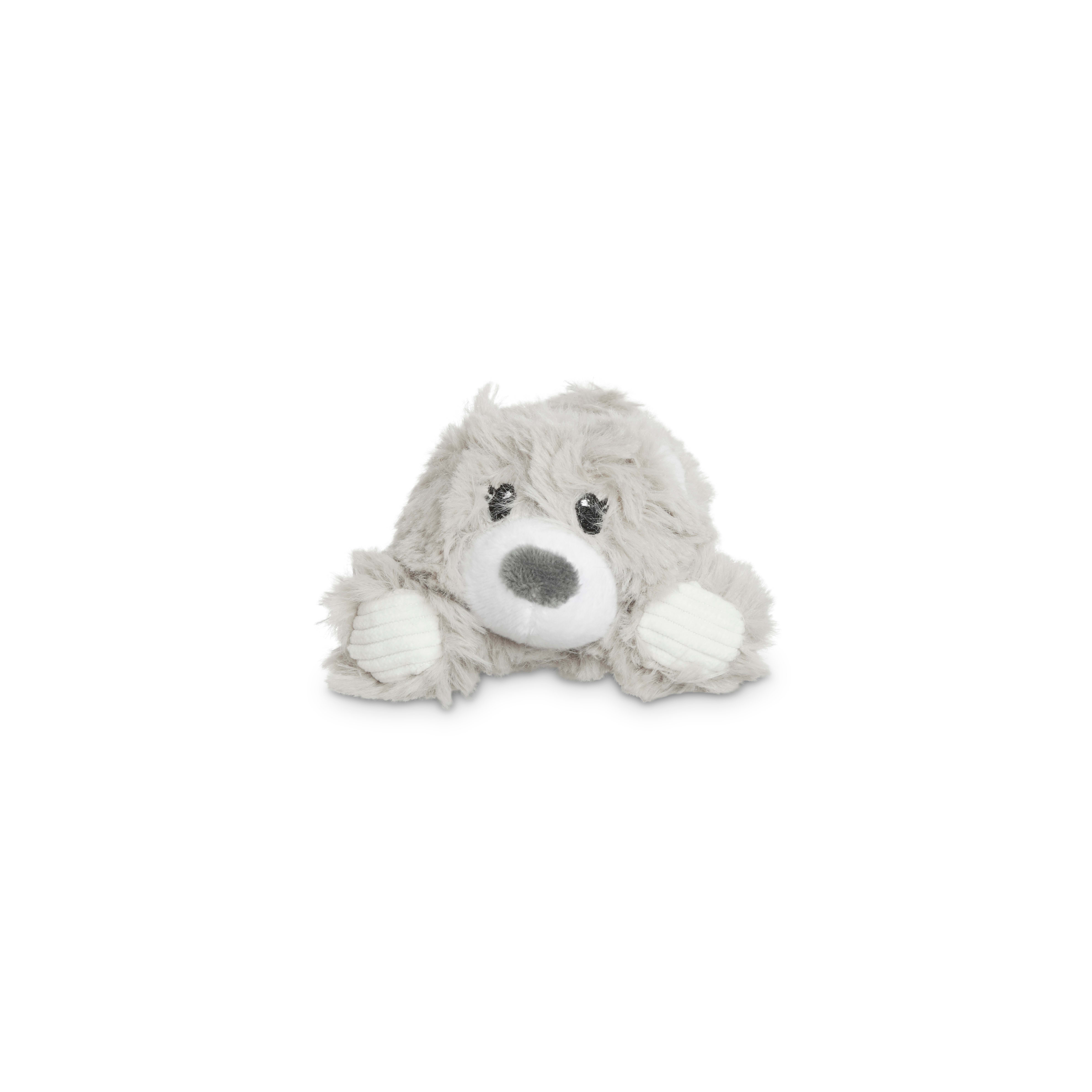 Leaps  Bounds Bearer of Snuggles Bear Plush Dog Toy in Various Styles， Small