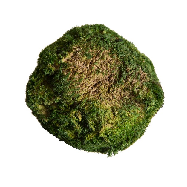 Vickerman Natural Botanicals 1  Lb. Apple Green Pole Moss.