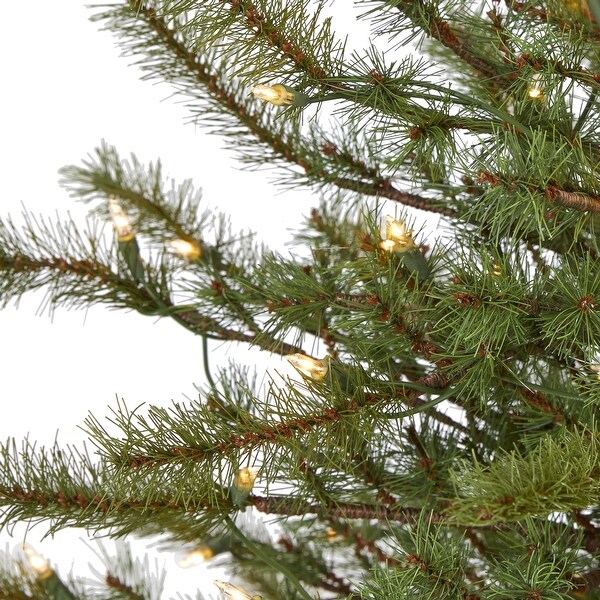 4' Vancouver Mountain Pine Christmas Tree with 100 Clear Light