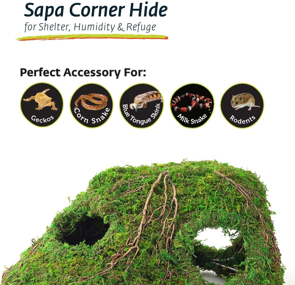 Galapagos Sapa Corner Hideout Reptile Terrarium Accessory， Fresh Green