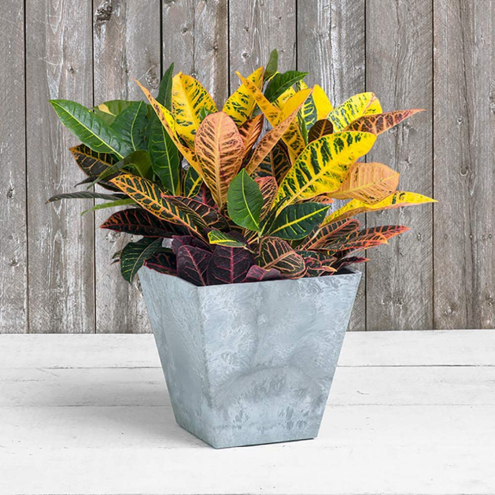 Novelty   35120 Ella Square Self Watering Planter  Grey 12   Contemporary   Outdoor Pots And Planters   by Esbenshades Greenhouses  Houzz