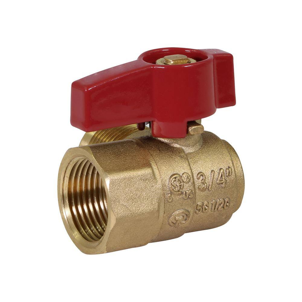 The Plumber's Choice 38 in. Flare x 12 in. Brass FIP Angle Gas Ball Valve LxFAGAS3812