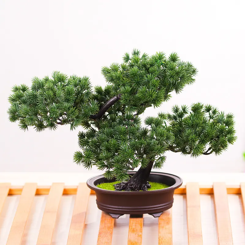 High Quality Low Cost Mini Bonsai Tree Table Decoration Plastic China Natural Carton Box Environmental Friendly ODM OEM Accepted