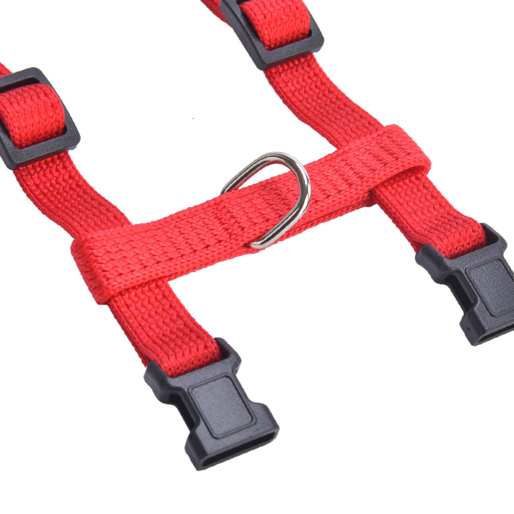 PUPTECK Cat Harness Adjustable Nylon Strap Collar with Leash