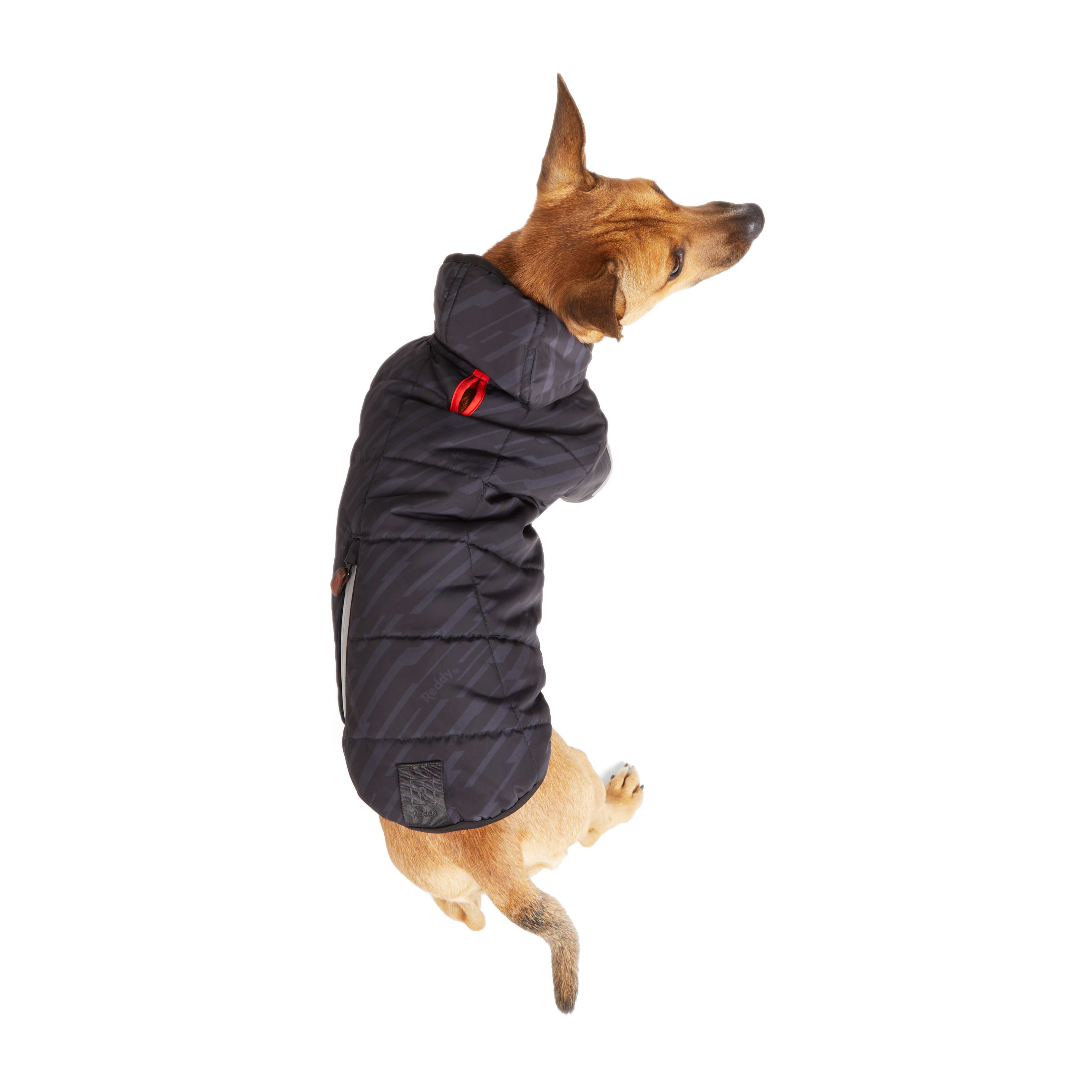 Reddy Superior Warmth Primaloft Dog Puffer， XX-Small