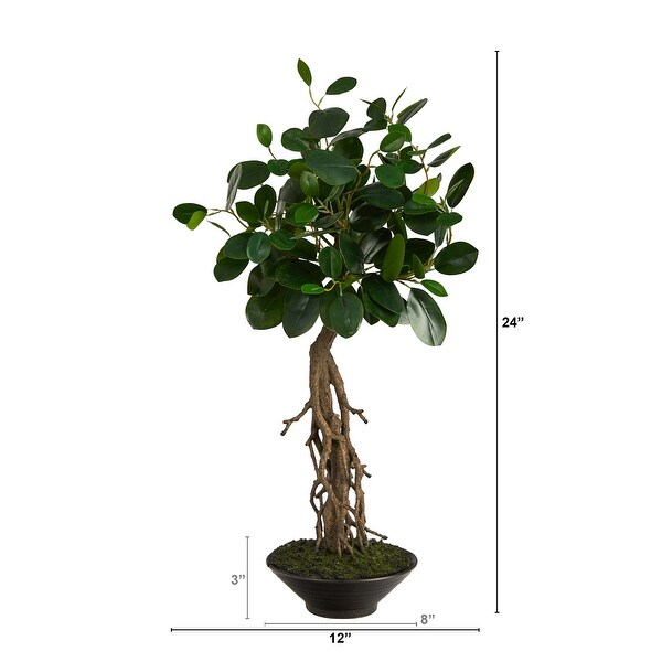 2' Ficus Bonsai Artificial Tree in Decorative Planter