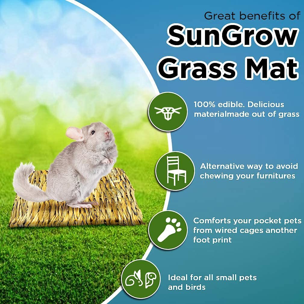 SunGrow Natural Teething Chew Mat for Small Pet Snacks and Bedding Cage Accessories