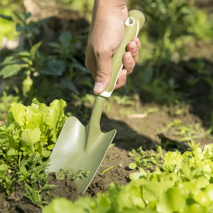 Carbon Steel Head Trowel Garden Hand Tool with Powder Coating