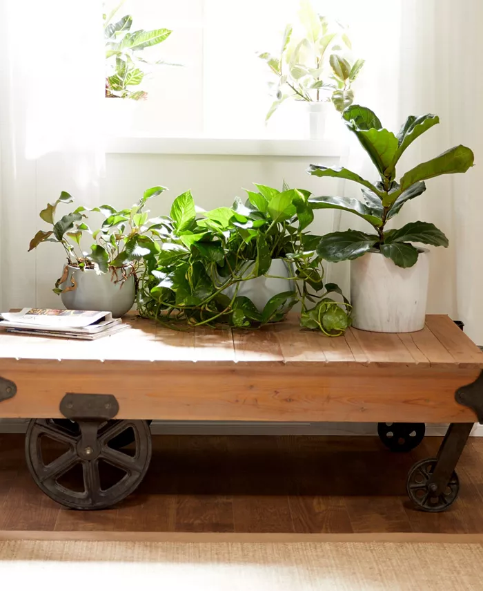 Rosemary Lane Industrial Coffee Table