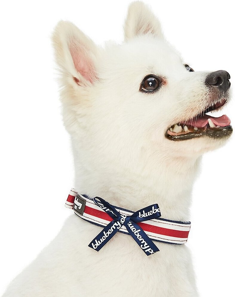 Blueberry Pet Bon Voyage Sea Lover Dog Collar