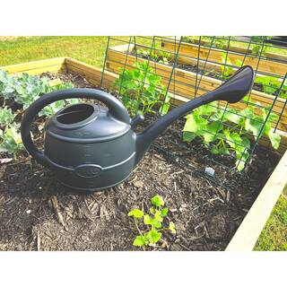 Bosmere English Garden 2-12 Gal. Outdoor Black Plastic Watering Can V565