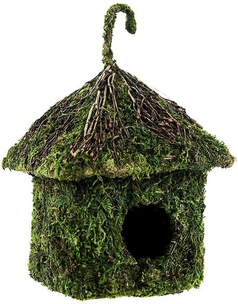 Galapagos Shack Deco Birdhouse， Fresh Green