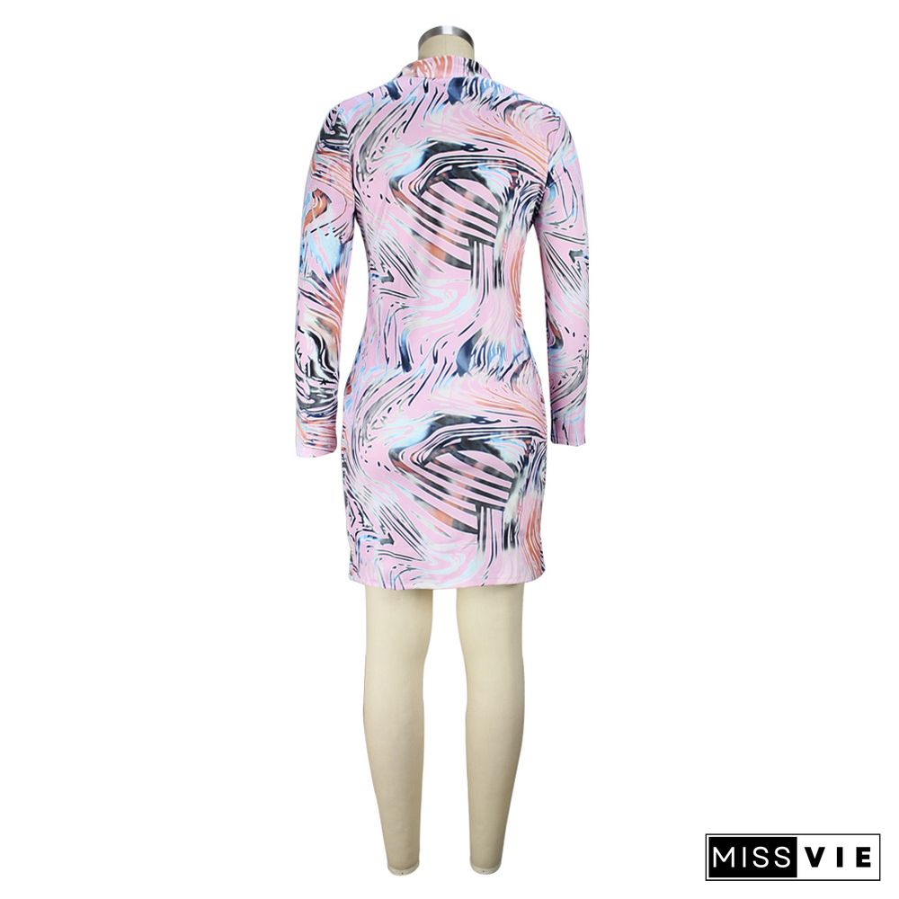 Abstract print Long Sleeve O Neck Pencil Dress