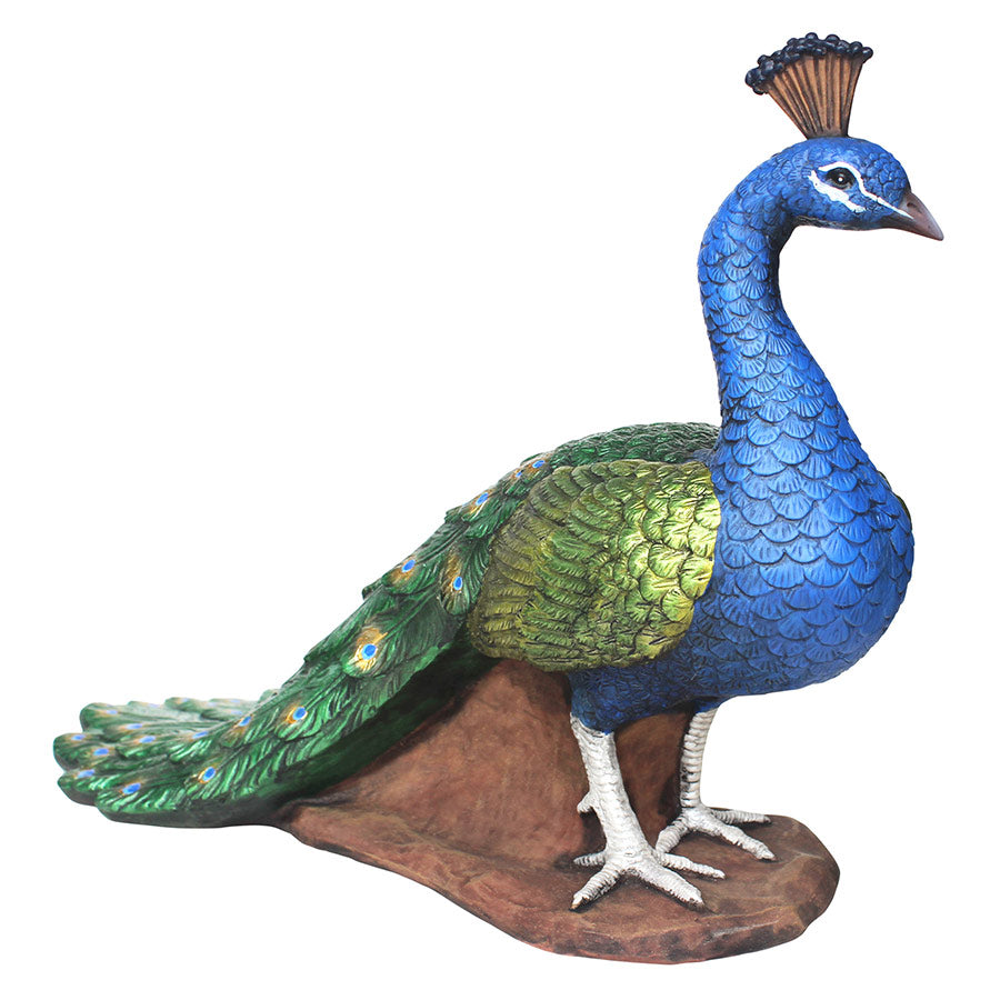 Design Toscano DB383117 The Regal Peacock Garden Statue: Medium