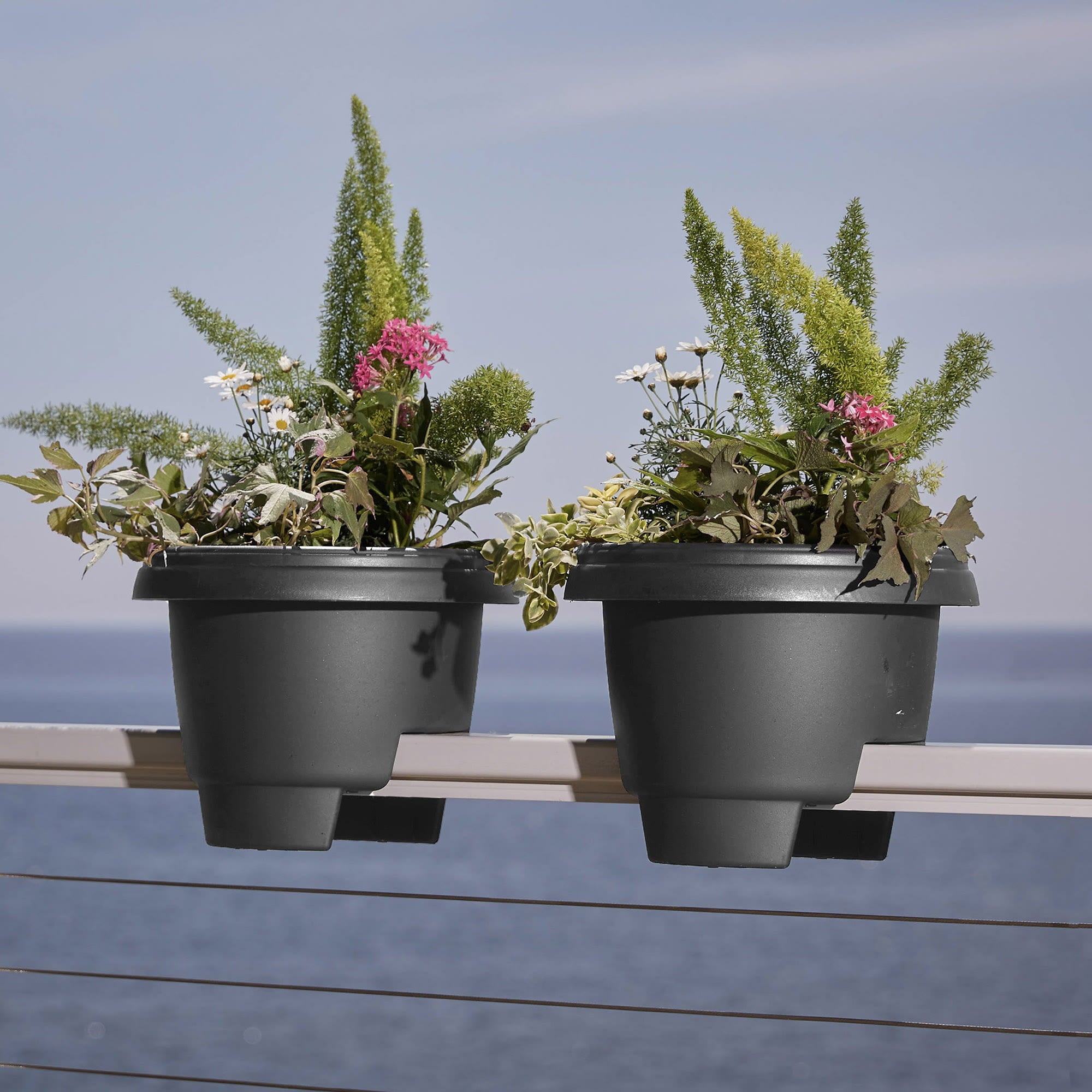 Bloem Modica Deck Rail Round Planter: 12