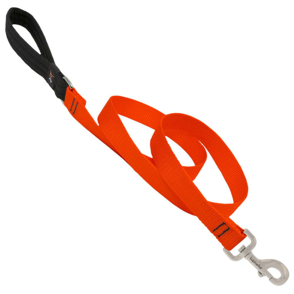 DOG LEASH 6FT 1