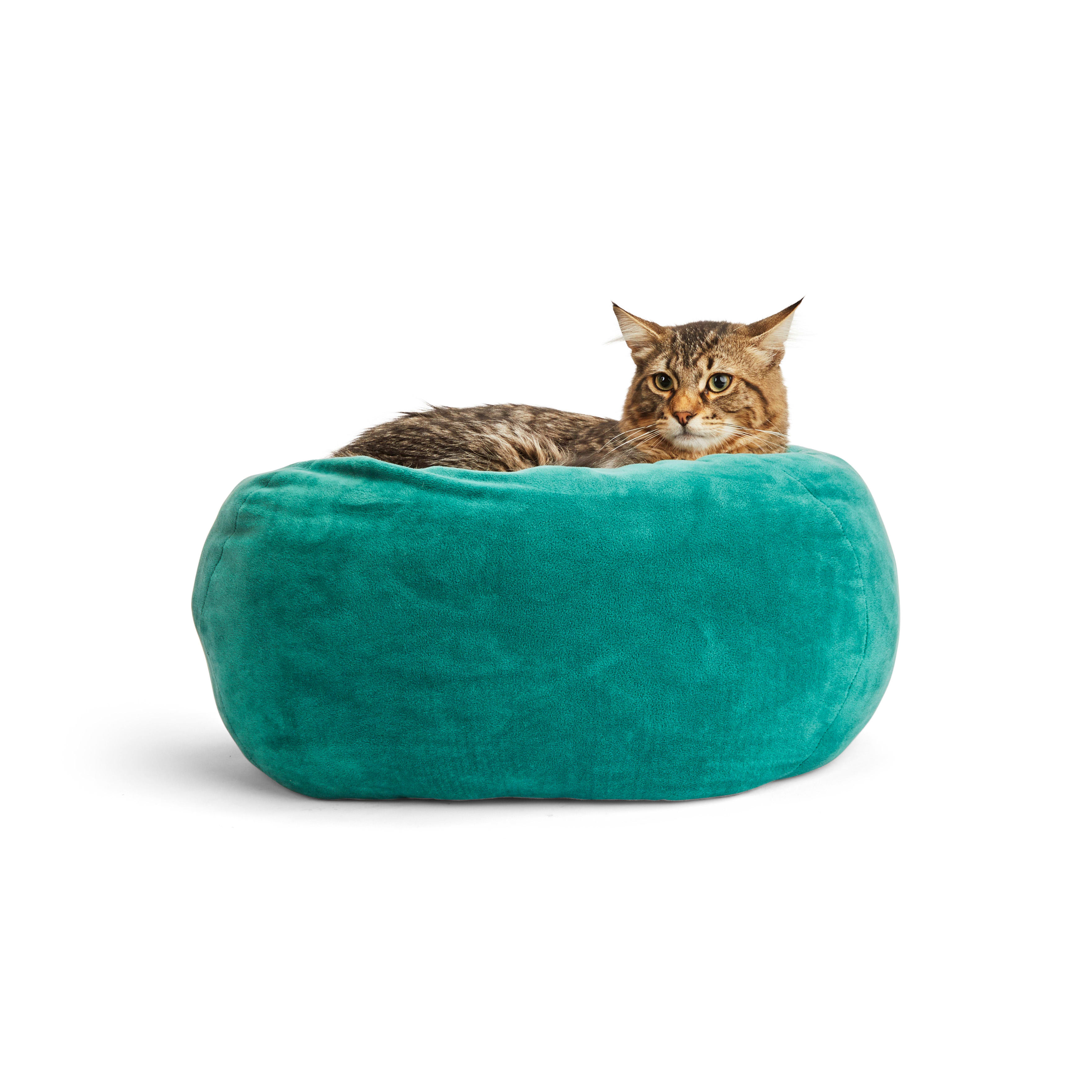 EveryYay Snooze Fest Forest Green Orthopedic Snuggler Cat Bed， 18