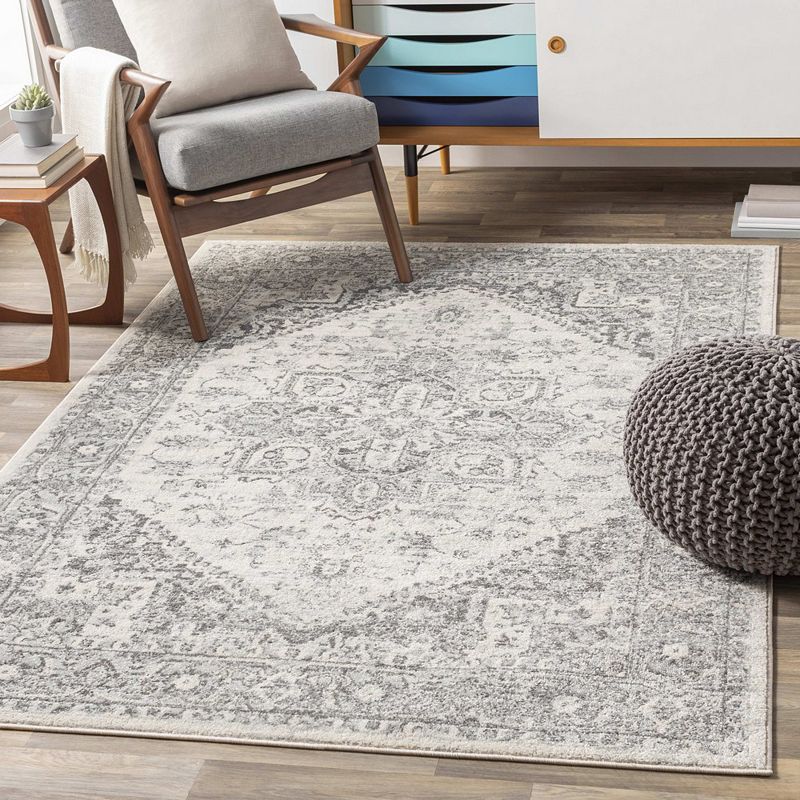 Chartres Traditional Area Rug