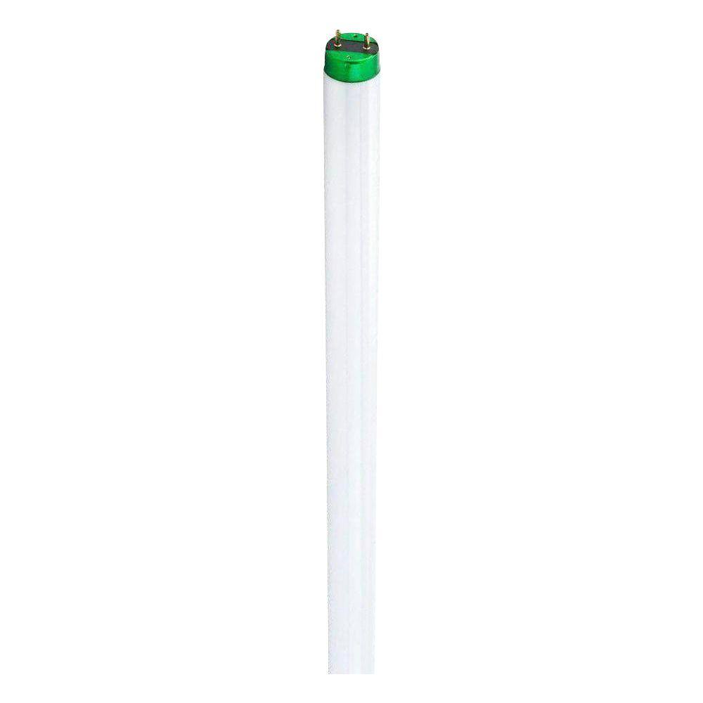 Philips 32-Watt 4 ft. Linear T8 Fluorescent Tube Light Bulb Cool White (4100k) (30-Pack) 281790