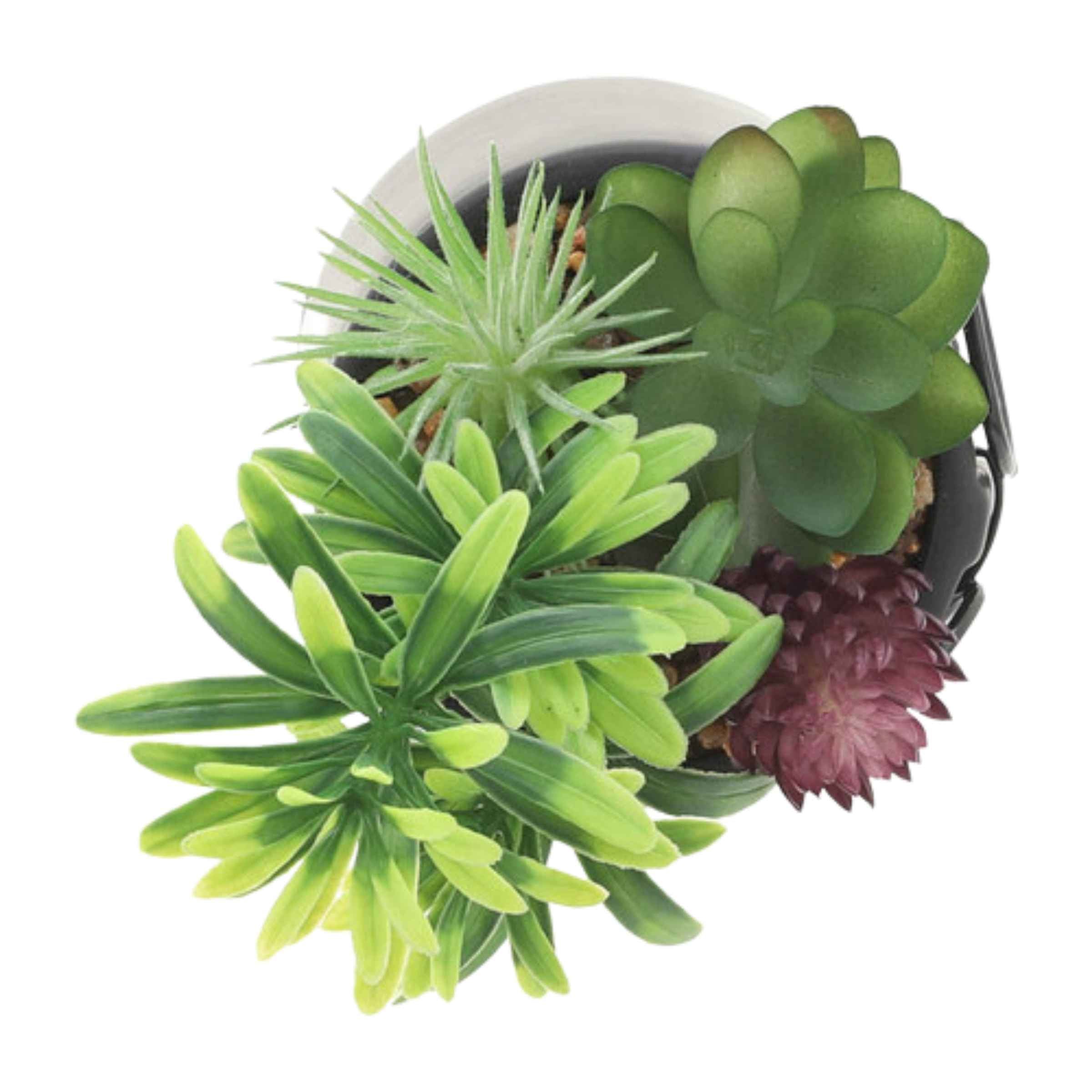 Face Ceramic Planter With Artificial Plants 8.89 Cm - Black 16972-02