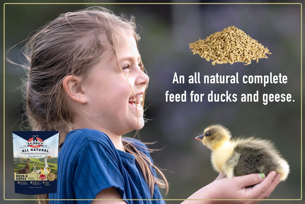 Kalmbach Feeds 18% All Natural Duck and Goose Water Fowl Mini Pellet Feed， 10-lb bag