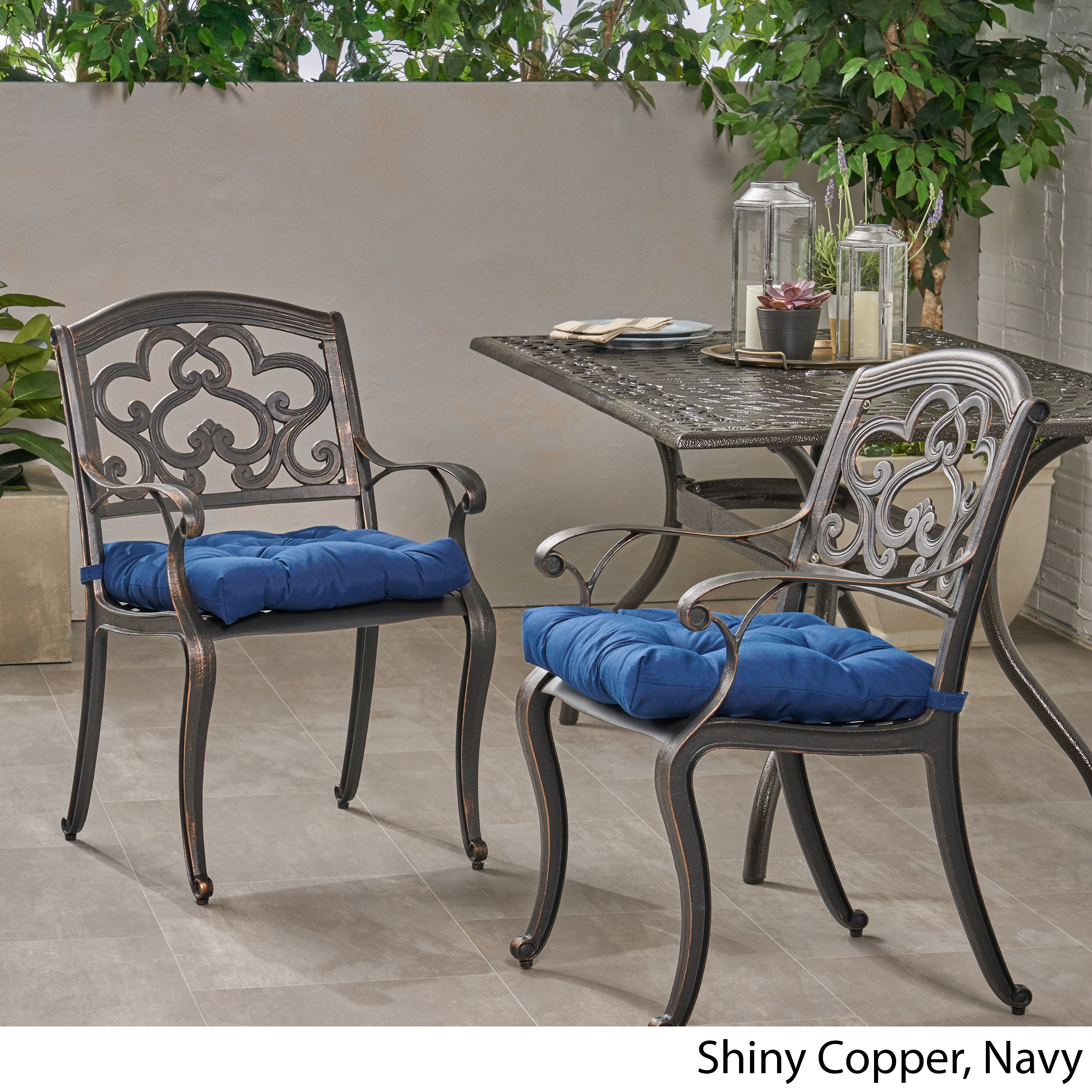 Sher Outdoor Dining Chair with Cushion (Set of 2)