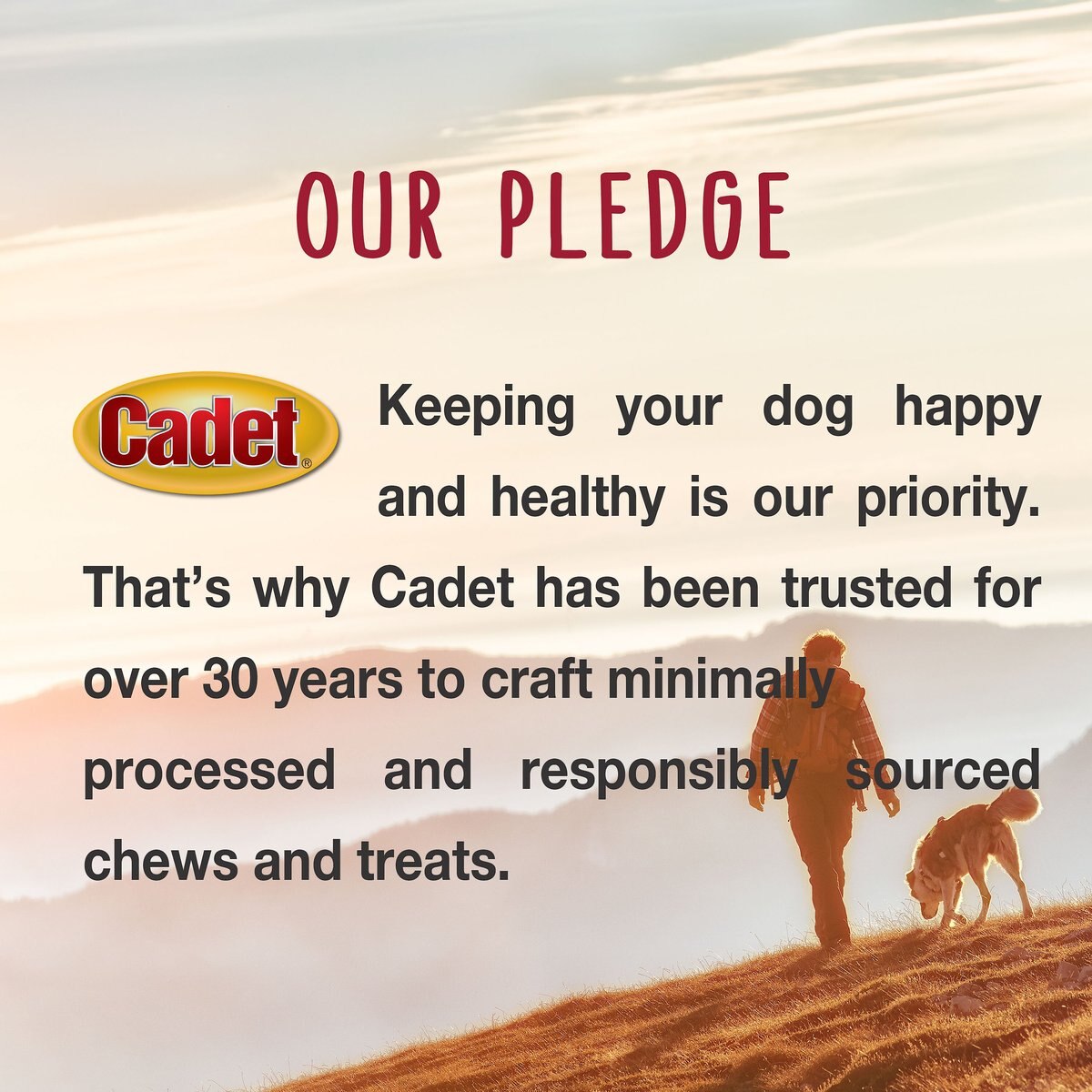 Cadet Choice Chews Peanut Butter Flavor Dog Treats