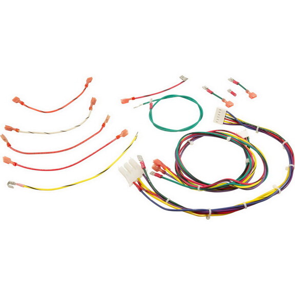 Raypak 005270F Wire Harness  RP2100  R185 R405  II...