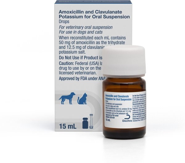 Amoxicillin and Clavulanate Potassium (Generic) Oral Suspension for Dogs and Cats