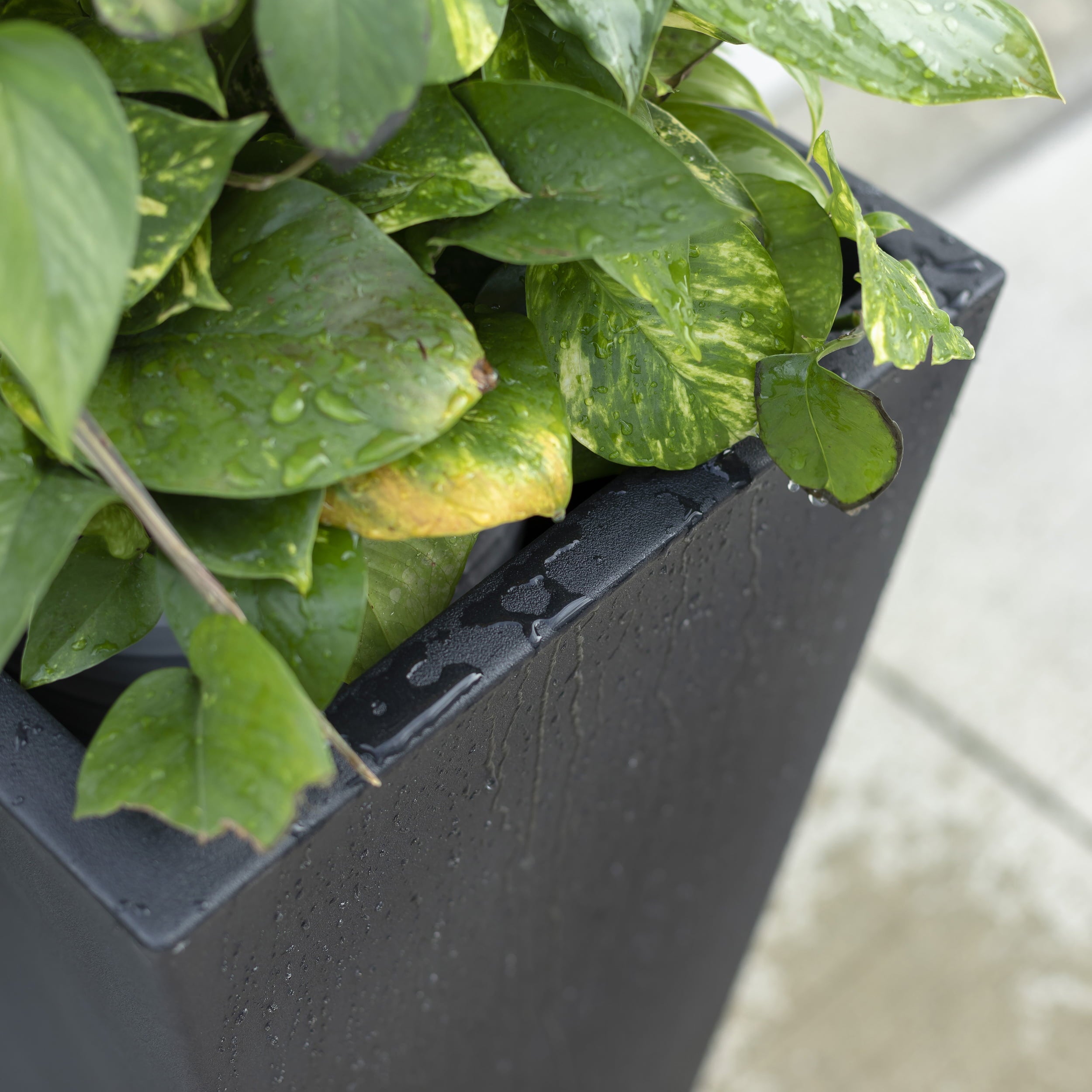 Step2 Tremont Plastic Black Square Planter 15