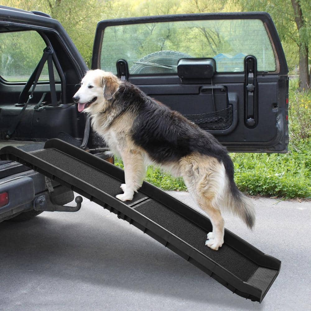 COZIWOW Portable Dog Ramp for Cars Trucks SUVs 61 in. L CW12E0290