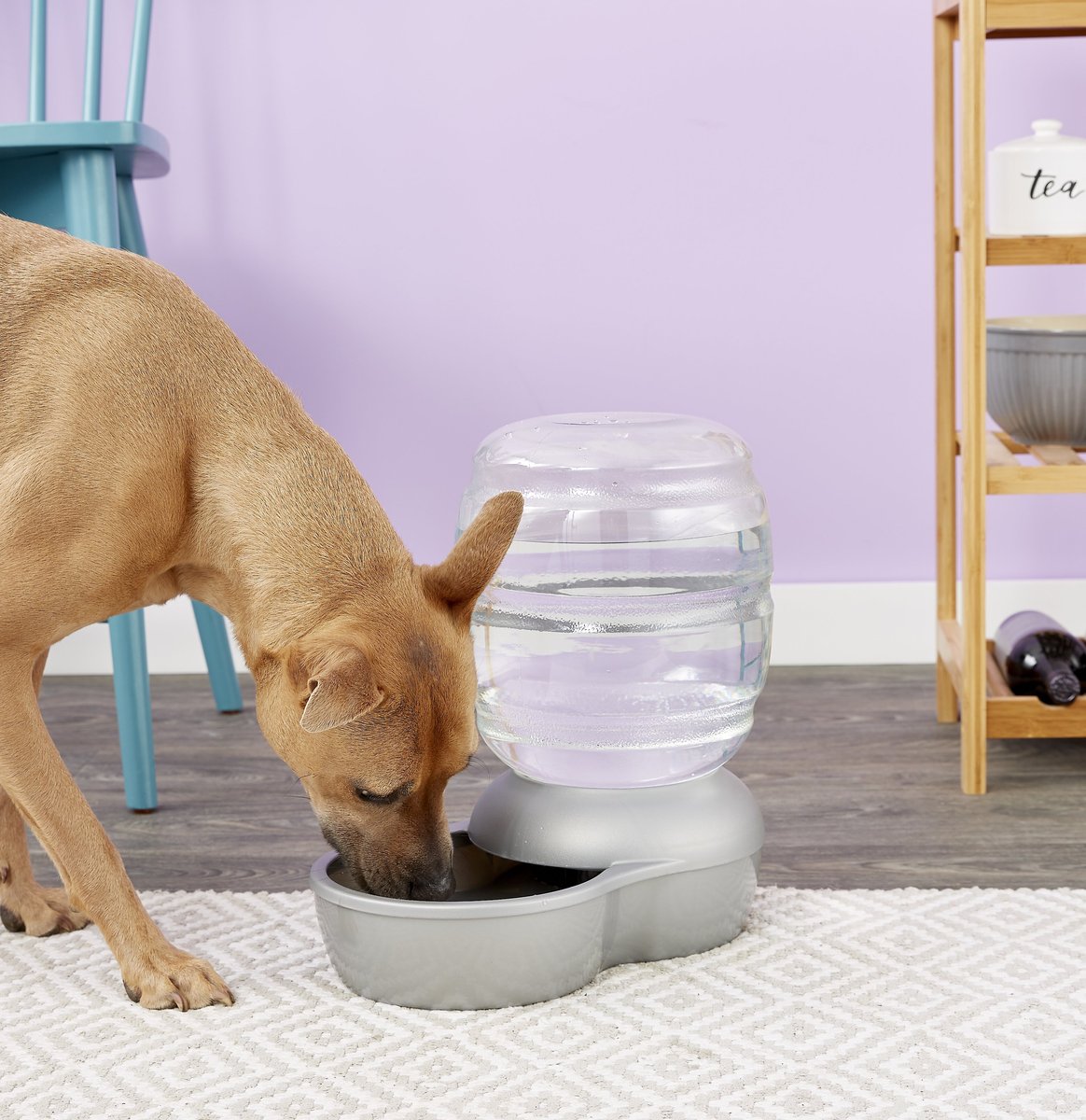 Petmate Pearl Replendish Waterer with Microban